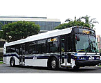 Eldorado National Buses